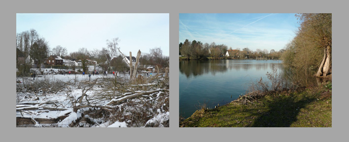 Die Niepkuhlen nördlich der Heyenbaumstraße im Winter und Frühjahr 2021. Foto: Dr. Julia Obladen-Kauder